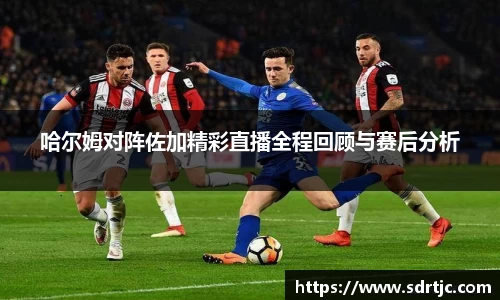 哈尔姆对阵佐加精彩直播全程回顾与赛后分析